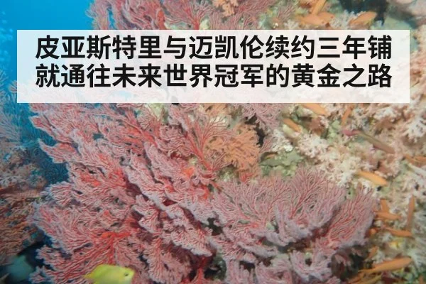 皮亚斯特里与迈凯伦续约三年铺就通往未来世界冠军的黄金之路
